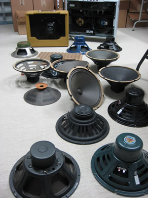 A12Q Speaker Development